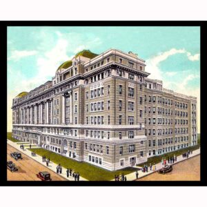 Vintage Cook County Hospital