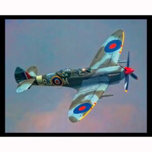War Bird