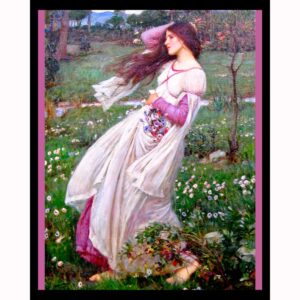 Wildflowers