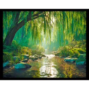 Willow Creek
