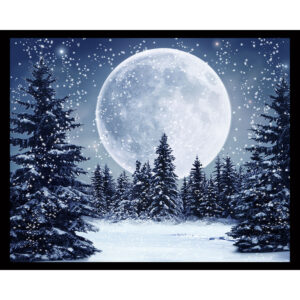 Winter Moon