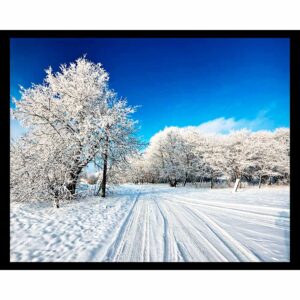 Winter Road