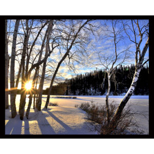 Winter Twilight