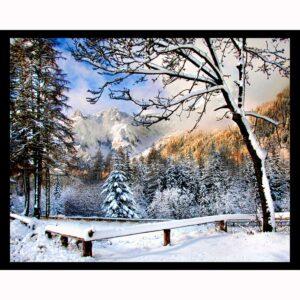 Winter Wonderland