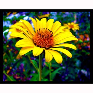 Yellow Flower