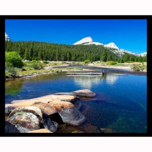 Yosemite Stream