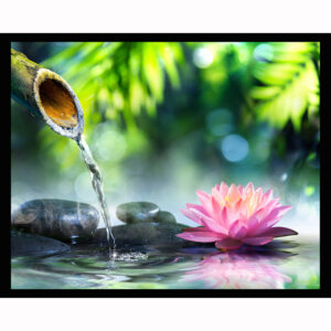 Zen Garden